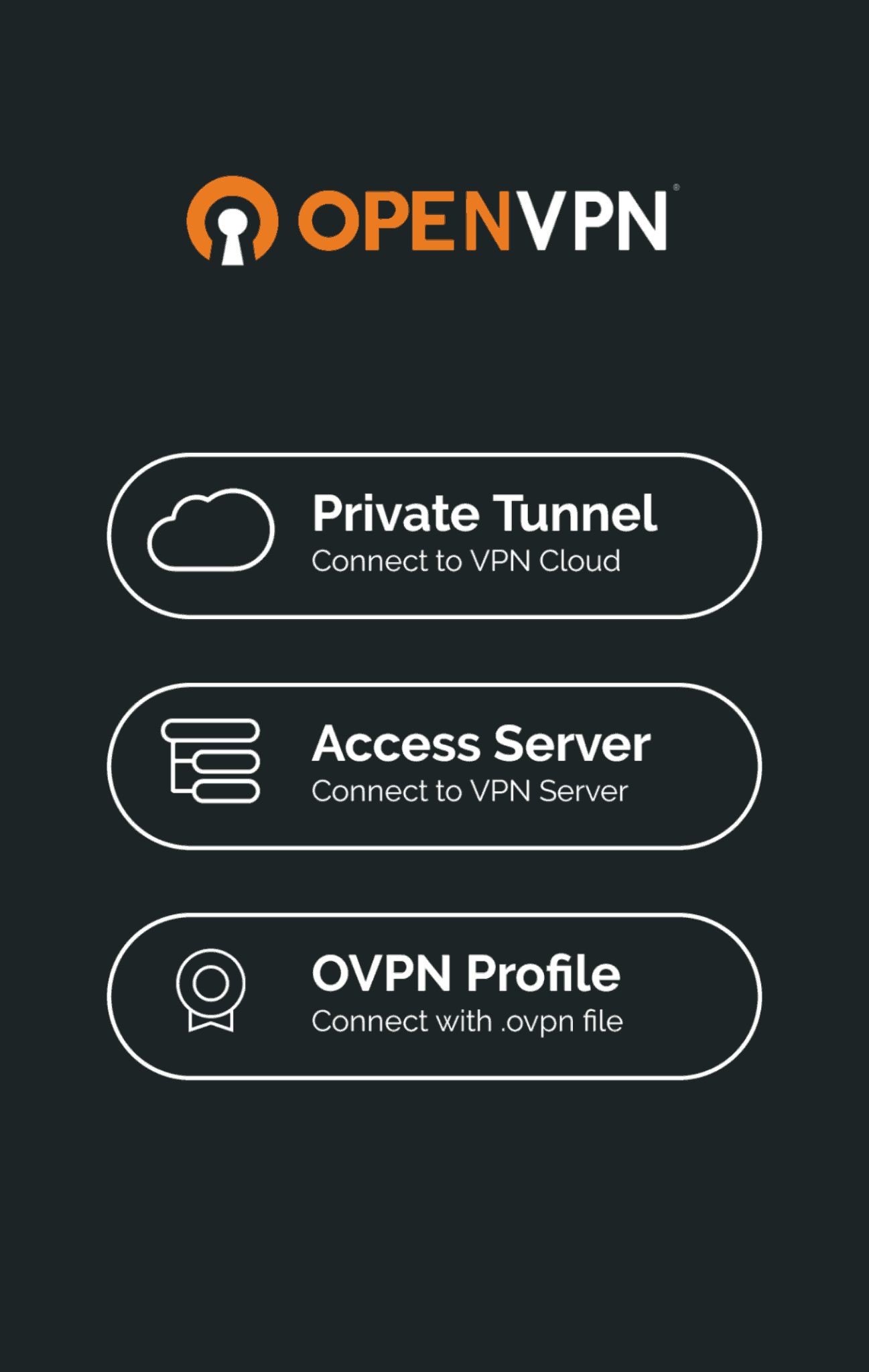 OpenVPN App Screenshot