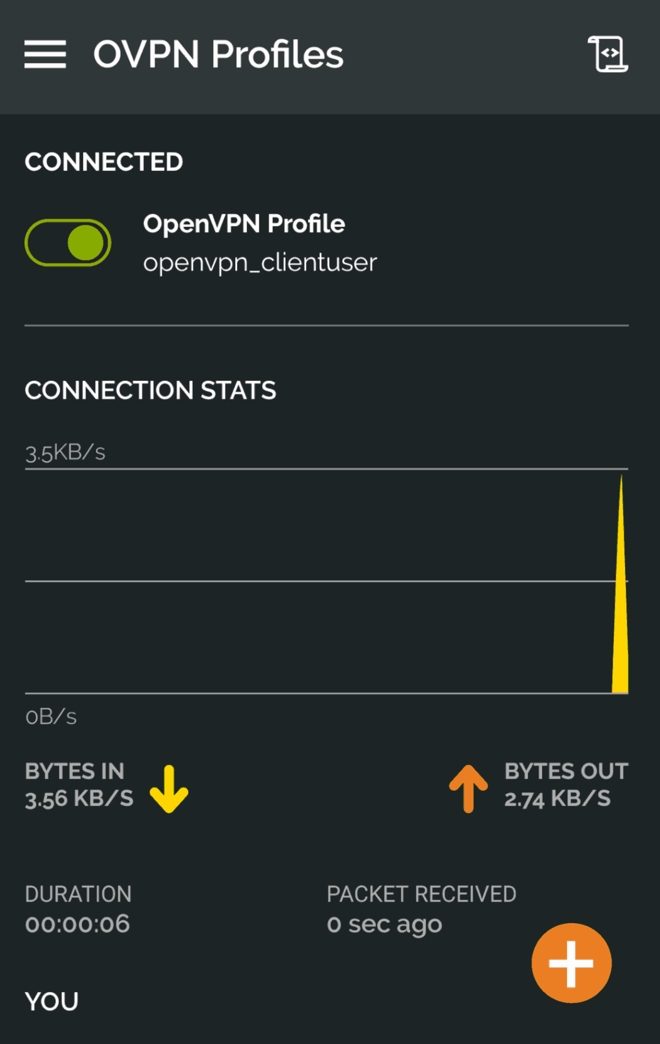 OpenVPN App Screenshot Active